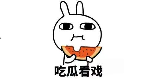 情感吃瓜爆料文案,情感吃瓜大揭秘，明星隐私背后的真实故事